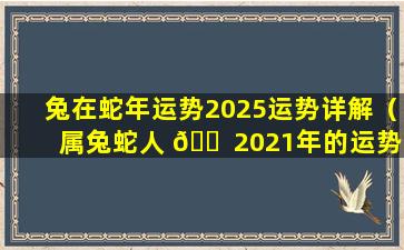 兔在蛇年运势2025运势详解（属兔蛇人 🐠 2021年的运势及运程 🐬 ）